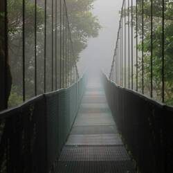 Up in the clouds