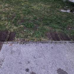 Flurschaden in der Wiese. Beinahe wären wir stecken geblieben