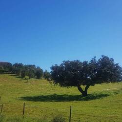 ...sooo schön der Alentejo