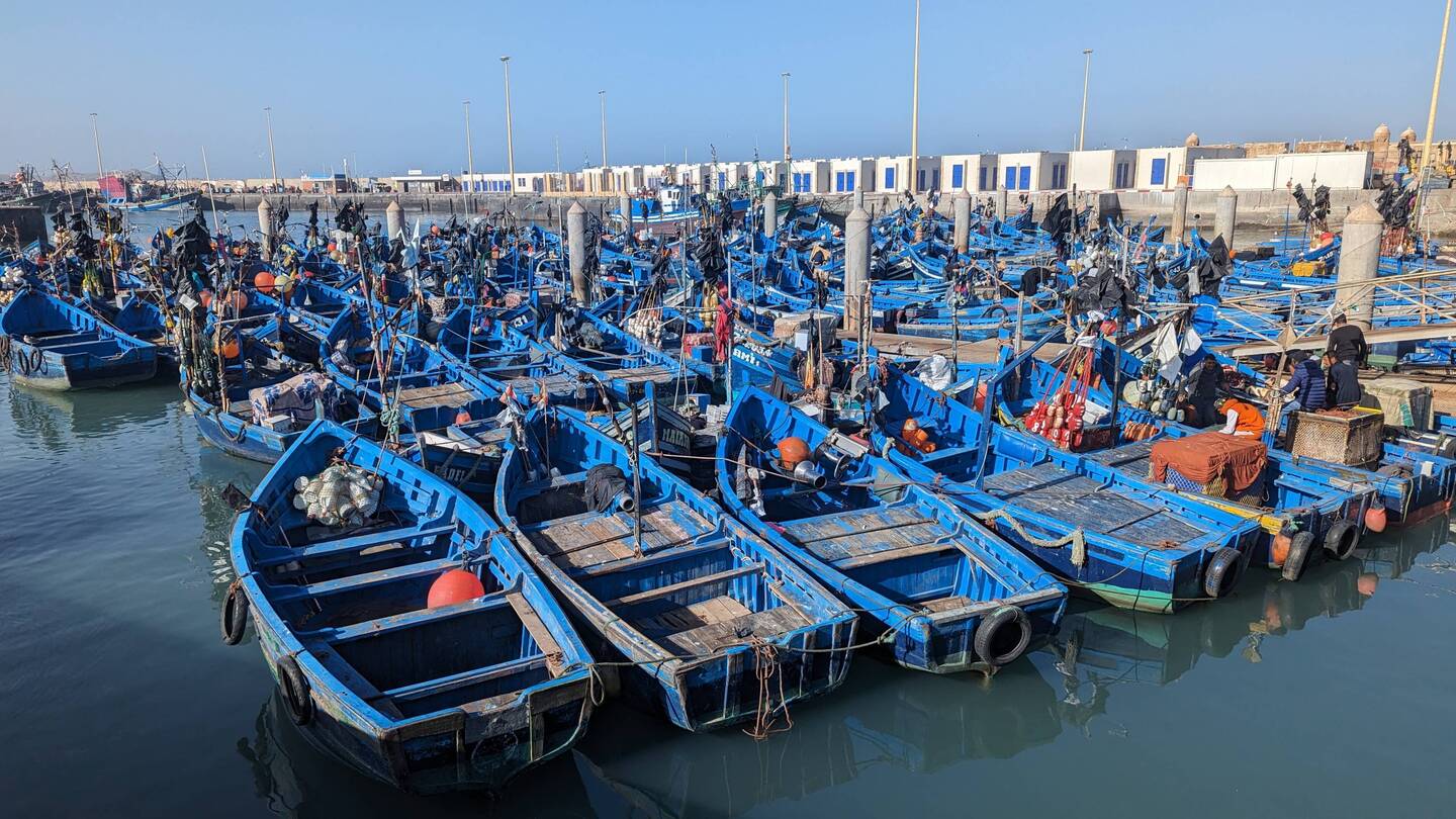 The port of Essaouira... the boasts have just come in.