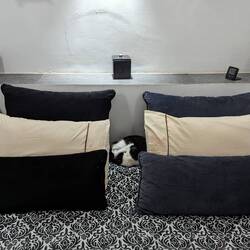 You can guess who's room this is...