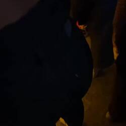 Live Musik in der Habana Bar