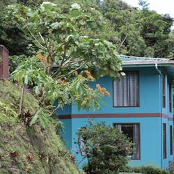 Unsere Unterkunft ist auch mal nicht im Nebel