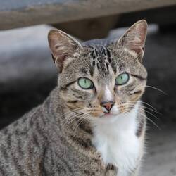 ... nicht gefunden, aber dafür gibt's dann was anderes süßes✅️