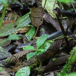 ... aber trotzdem gefunden ✅️