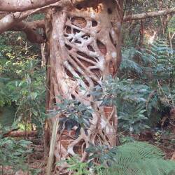 Die Natur holt sich alles zurück