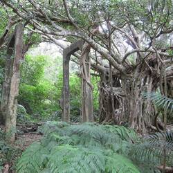 Überbleibsel der Kohlemine