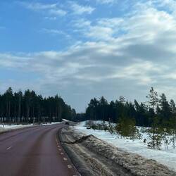 Kurzfristig ein "verirrter Sonnenstrahl"