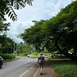 Our walk to get provisions