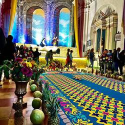 This is not a carpet but coloured sawdust