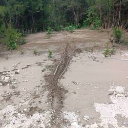 Too muddy, so wood sticks needed to cross it safely