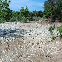 These "roads"... 🤪