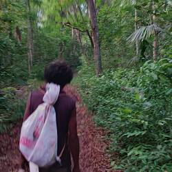 Next day: on the way back to my scooter