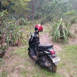 Here my rental scooter spent its night in the jungle