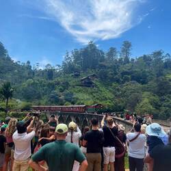 Der Zug rückt an! Das keiner überfahren wird, ist ein Wunder...