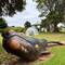 Whale and calf carved in to an old dead tree trunk