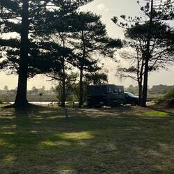 Lovely peaceful park by the river