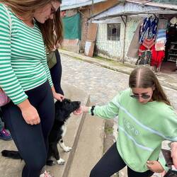 Die Mädels sobald ein Streuner in Reichweite war: