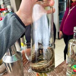 Ein Schlangen-Vodka Shot gab es auch noch😅