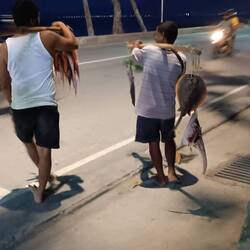 And, as usual, met some fishermen selling their fishes