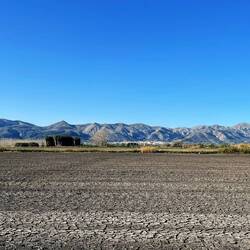 Reisfelder im Marjal bei Oliva