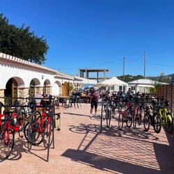 Gümmeler gibts hier wie Sand am Meer.