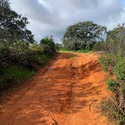 We did not walk on this road. We passed it and it reminded me of Joni Mitchell