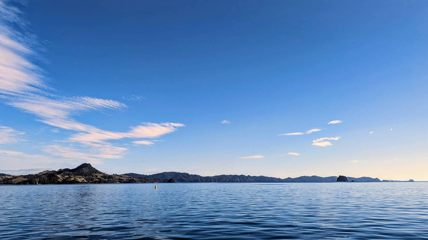 Blue morning