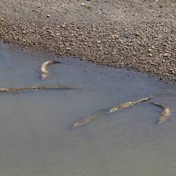 ... da hilft nur liegen bleiben