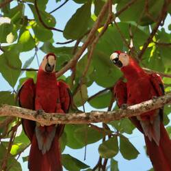 Und... Aras!Achtung, es folgt ein Bilder-Spam: