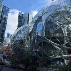 The Amazon Spheres.