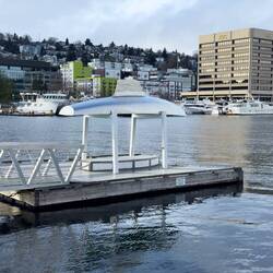 Orca-shaped structure at Union Lake shore.
