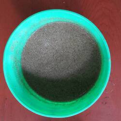 Do NOT drink this. Disgusting banana beer