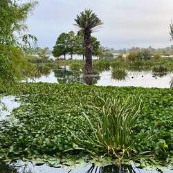 So many fabulous wet land areas full of birds