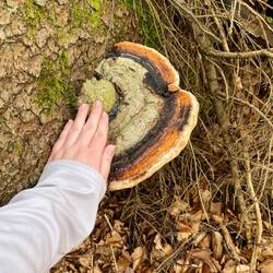 Big shroom 🍄