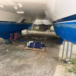 Die reparierte Genua is back.