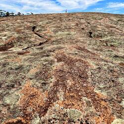 Mt. Wudinna