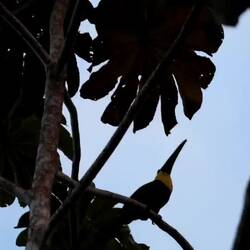 Alarmanlage des Hauses