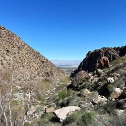 Tahquitz Canyon
