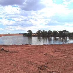 Das Wasserloch mit den Hippos