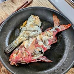 Goat fish and leather jacket for lunch
