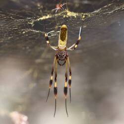 Diese ist mein persönlicher Albtraum😅