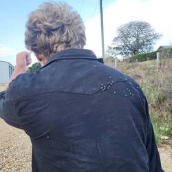 Fliegen sind einfach überall