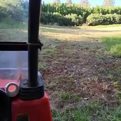 Irgendwo auf der Farm