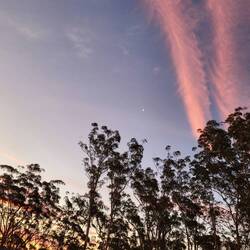 Abends kann man sogar die Milchstraße sehen🌌