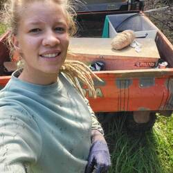Diese Samen heißen "Farmers friends" und sind sehr hartnäckig!