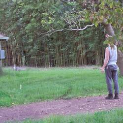 Ein Känguru im Garten😍