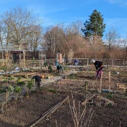 Nebenan in den Schrebergärten wird gewerkelt