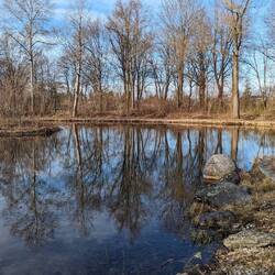 Ein schöner Nachmittag 😊