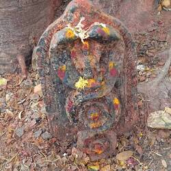 Au pied d'un arbre . C'est souvent comme ça